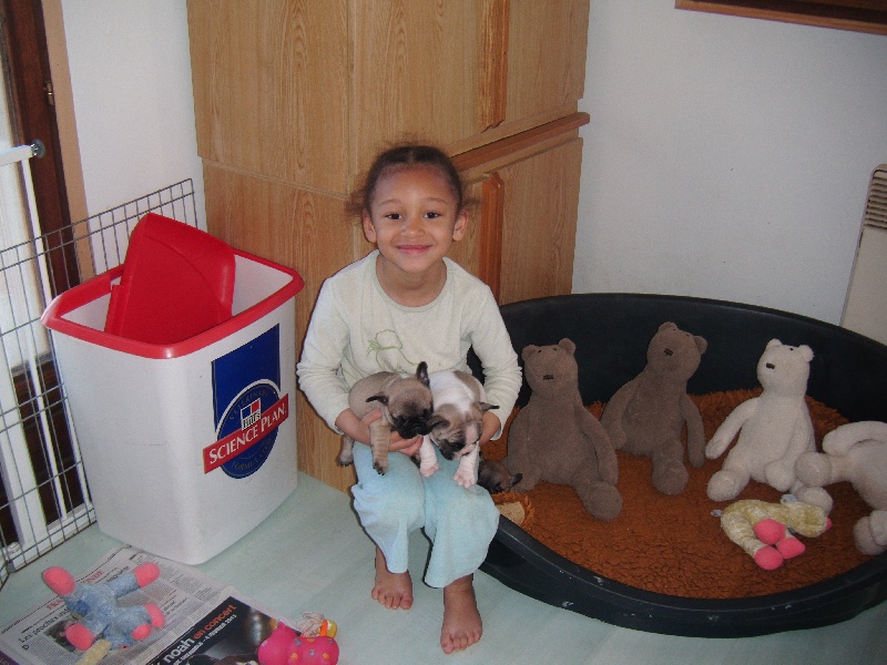 PORTEE 2011 BONNIE ET BALTHAZAR DU GOLDEN CHILD
