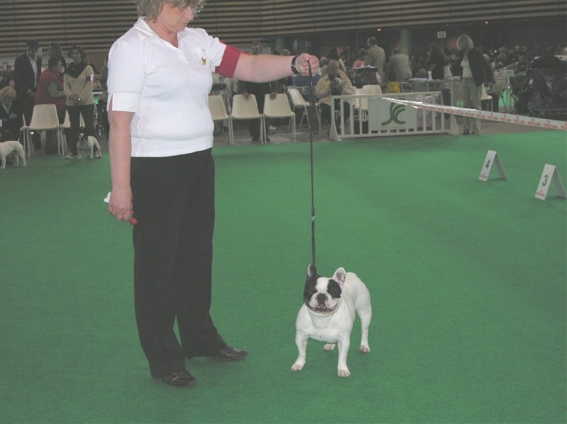 CHAMPIONNAT DE FRANCE 2008