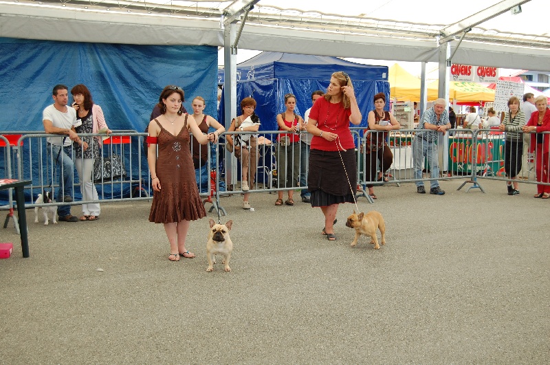 EXPOSITIONS